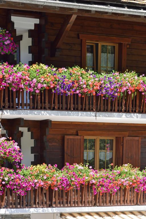 Hotel Les Melezes Haudères Buitenkant foto